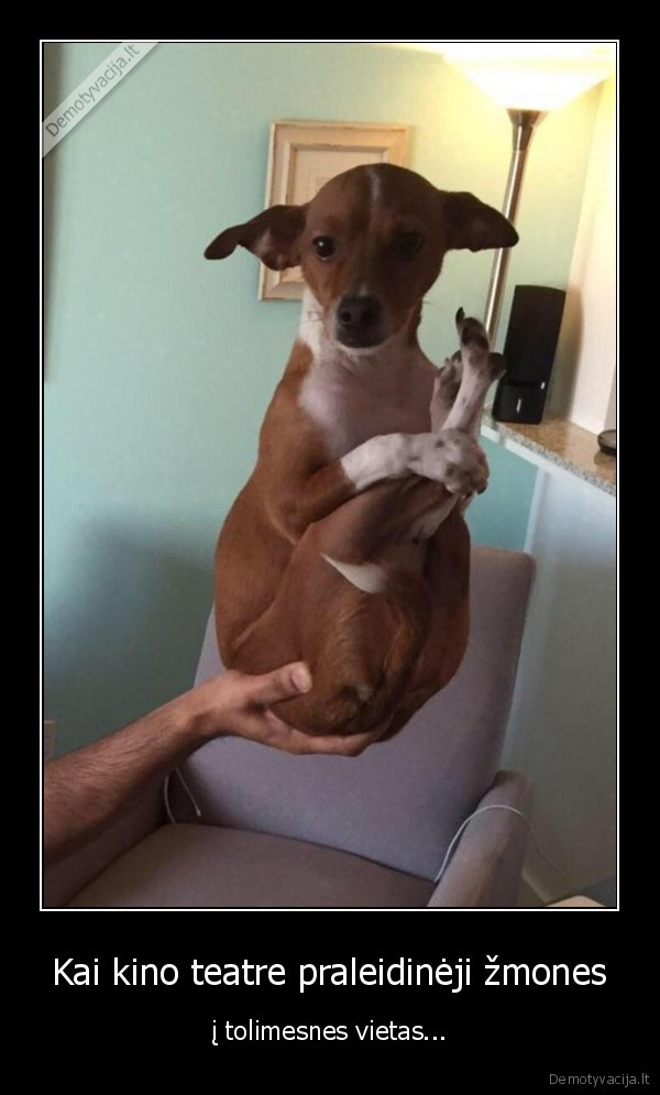 kino, teatras,pakele, kojas