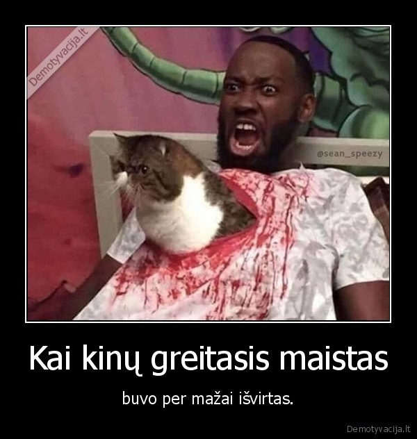 kinija,kate,katinas,maistas