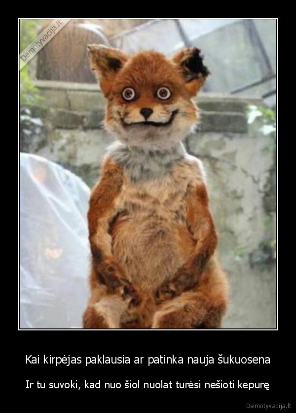 nauja, sukuosena,kirpykla