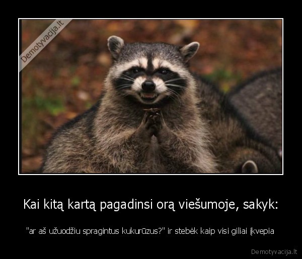 Kai kitą kartą pagadinsi orą viešumoje, sakyk: