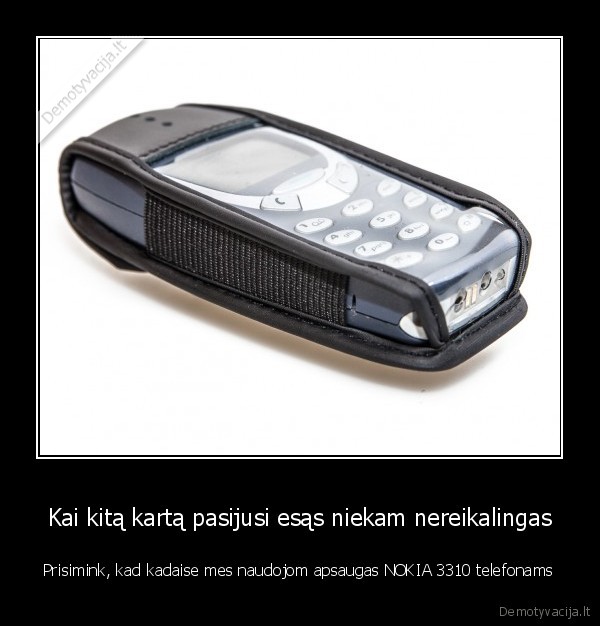 nokia, 3310,apsauga