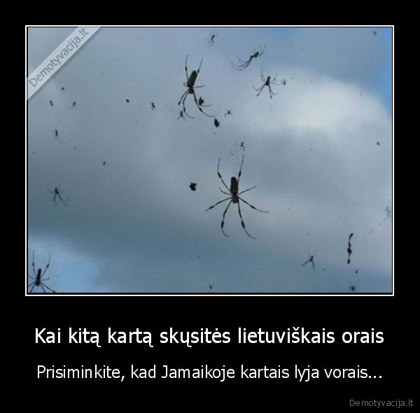 idomus, faktas,lyja, vorais,voru, lietus