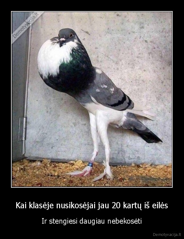 gripas,persalimas,kosulys