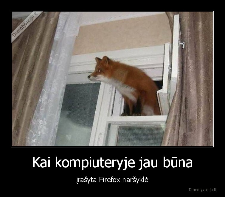 narsykle,kompiuteris,lape,firefox,parodijos