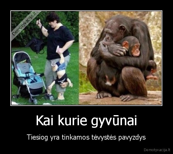 gyvunai,bezdzione,geri, tevai