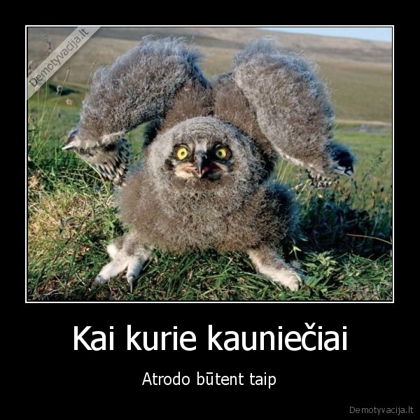 pazastu, uzdegimas,cigoniukai, po, viena, nevaiksto, is, karto, taboras, ateina,imo