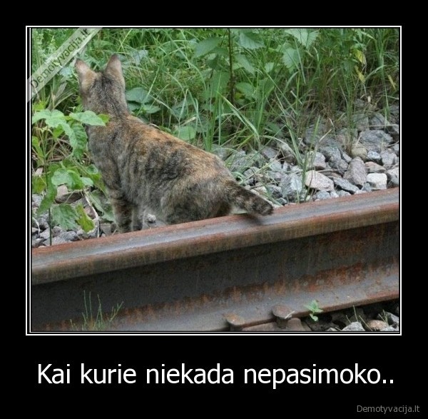 Kai kurie niekada nepasimoko..