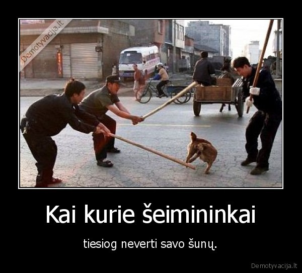 Kai kurie šeimininkai