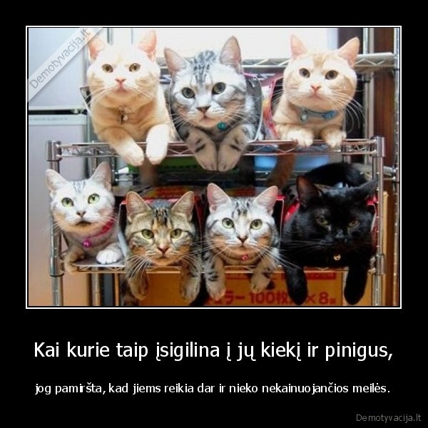 Kai kurie taip įsigilina į jų kiekį ir pinigus,