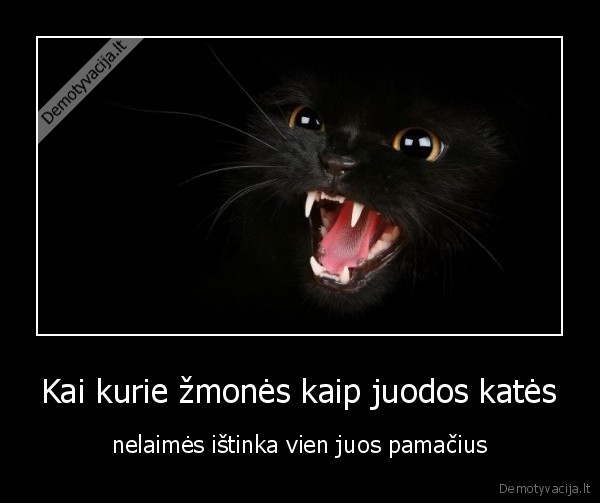 juodos, kates,prietarai,nelaimes