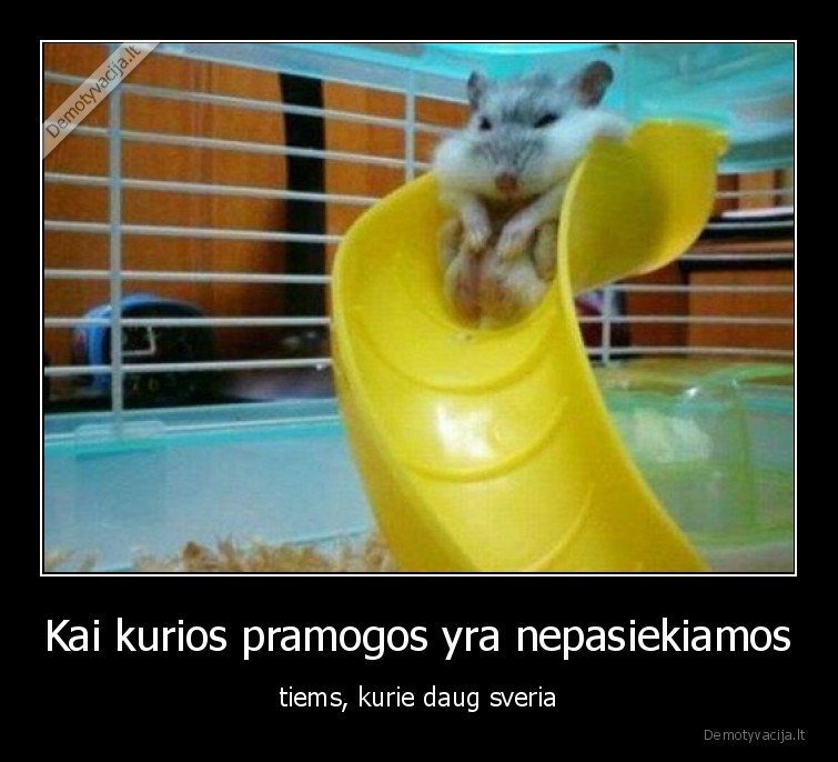 sveria,pramogos,grauzikas