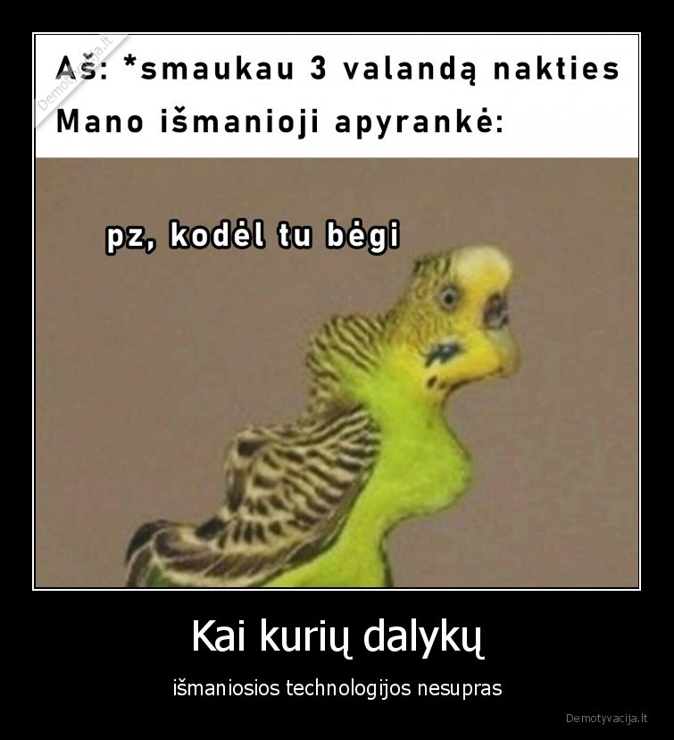 ismanioji,apyranke,smaukymas