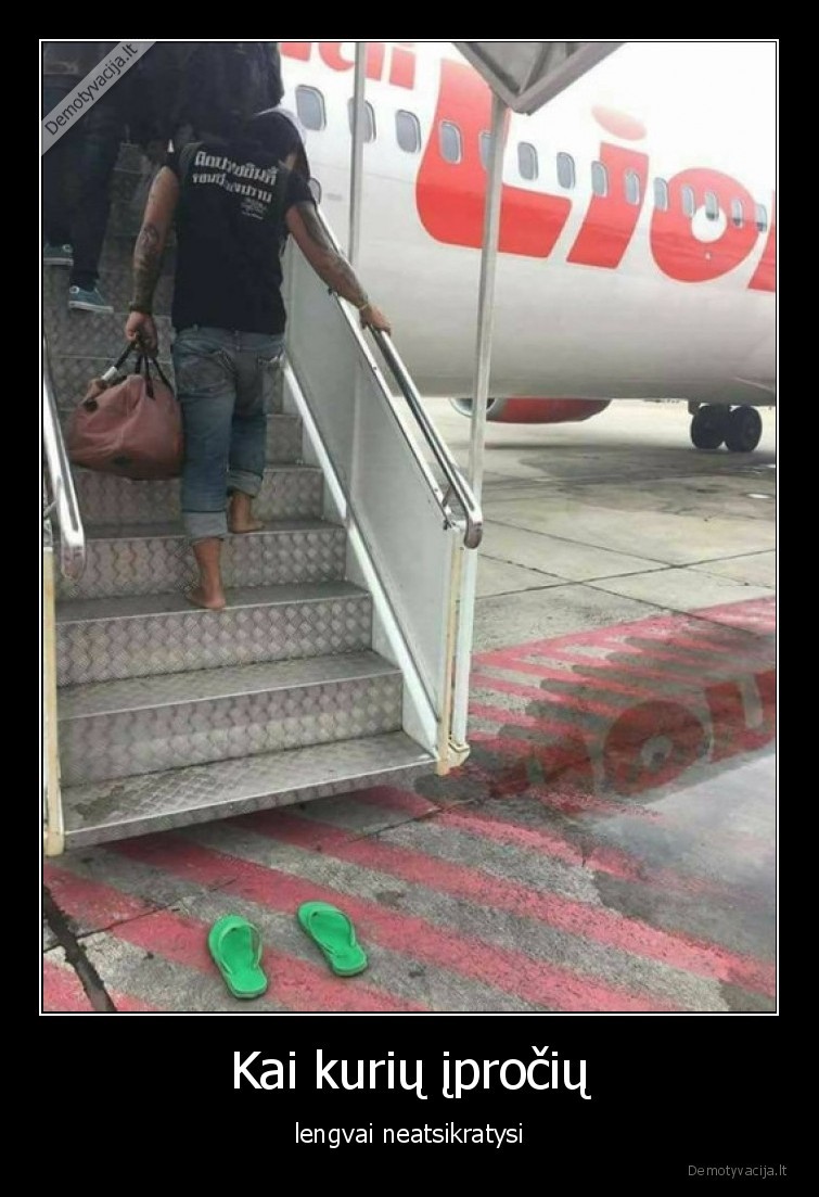 iprotis,skrydis,lektuvas,tapkes