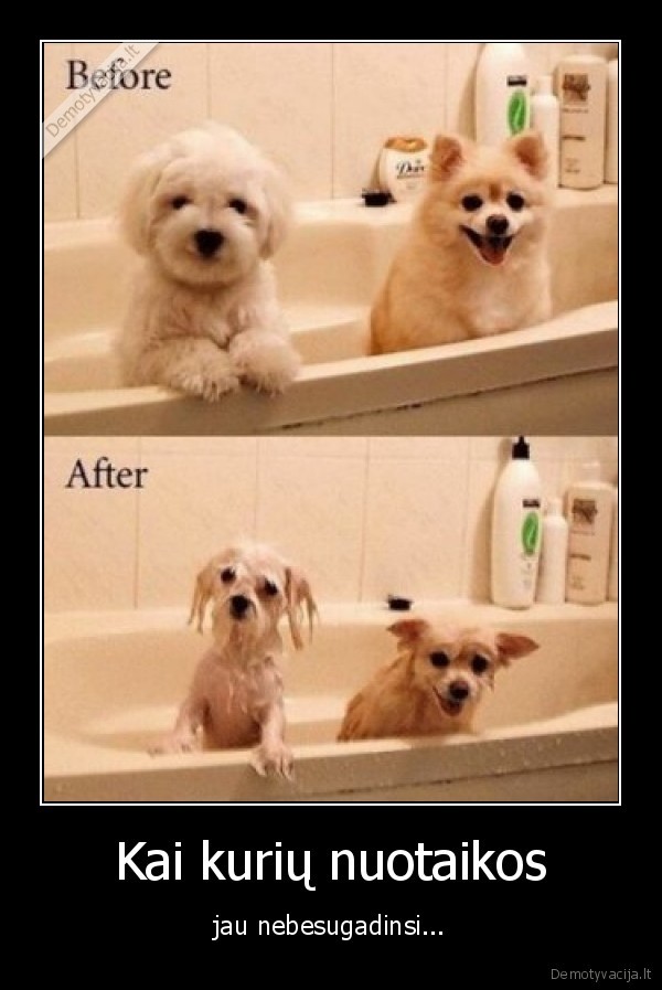 Kai kurių nuotaikos