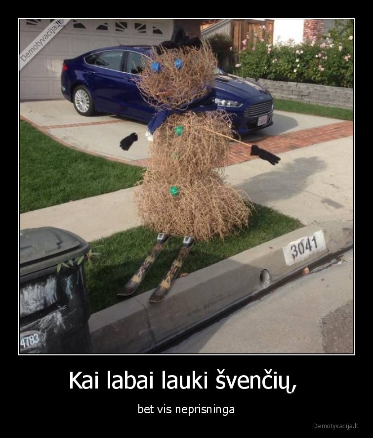 sniegas,besmegenis,nera,sventes