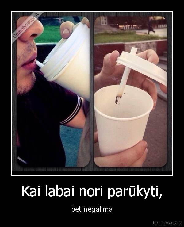 rukyti,stotele,viesa