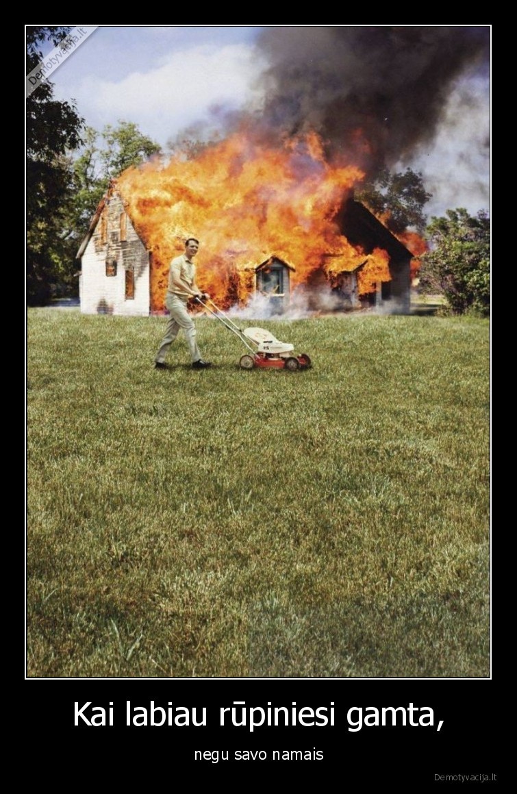 gamta,green, peace,zole,gaisras