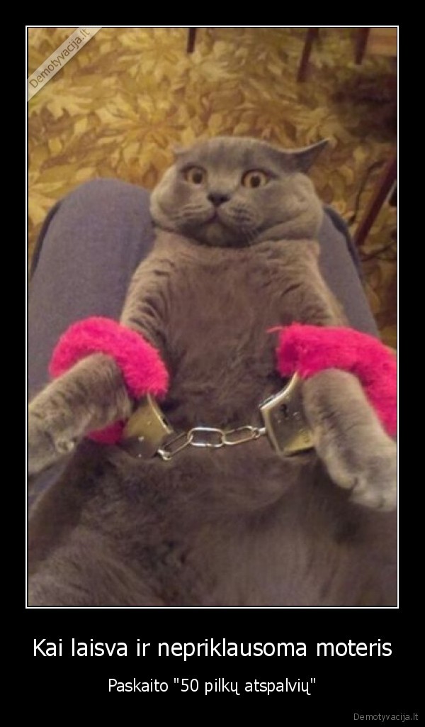 penkiasdesimt, pilku, atspalviu,roziniai, antrankiai,katinas