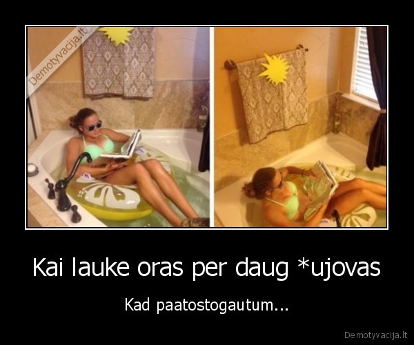 vonia,atostogos,relaksas,knyga