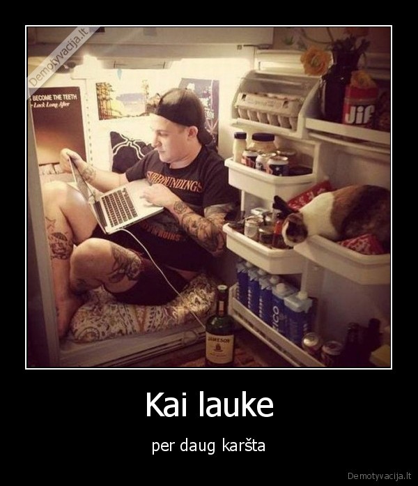 saldytuvas,sedeti, katinas