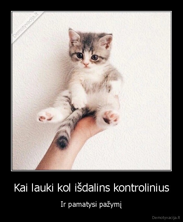 Kai lauki kol išdalins kontrolinius