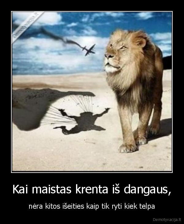 Kai maistas krenta iš dangaus,