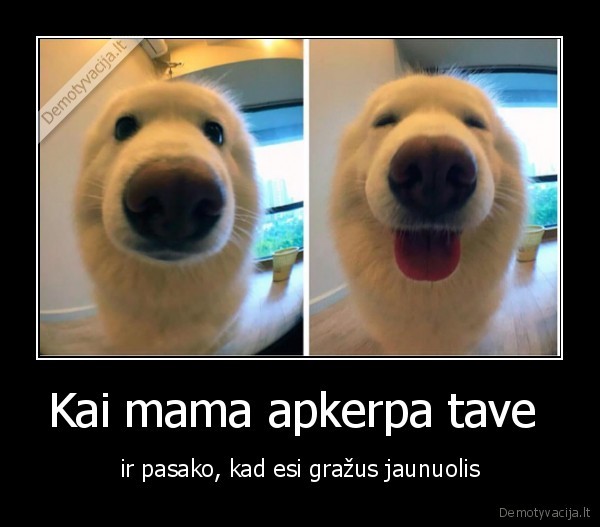 Kai mama apkerpa tave 
