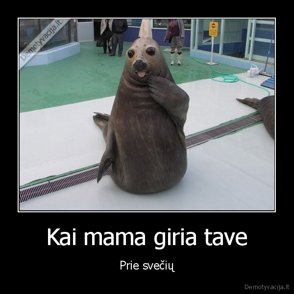 malonus, jausmas,pagiros