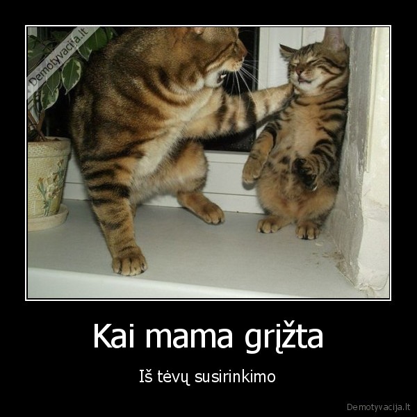 pikta, mama,blogas, vaikas