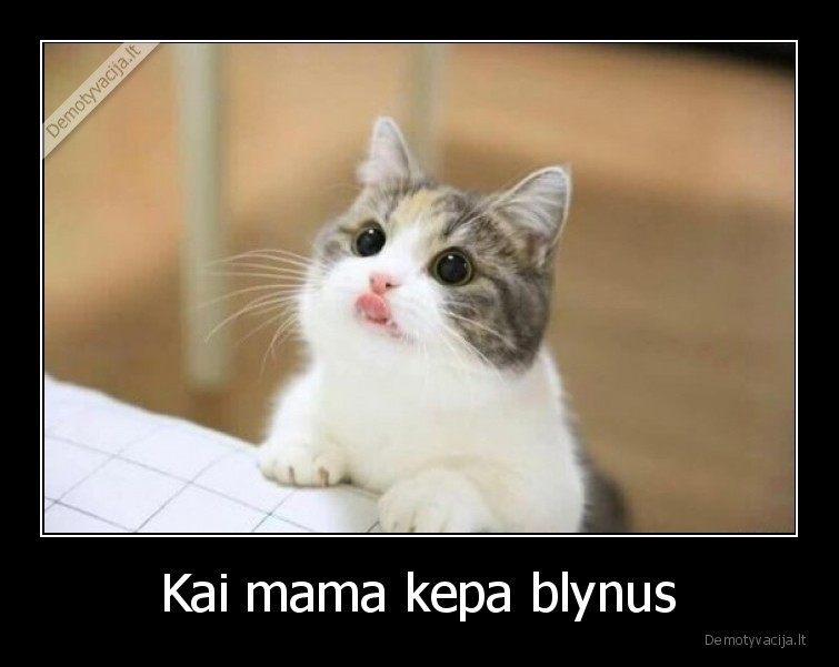 katinas,mama,kepa,blynus