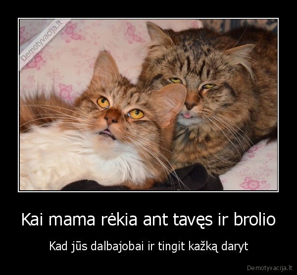 kvaili, vaikai,o, jiem, px