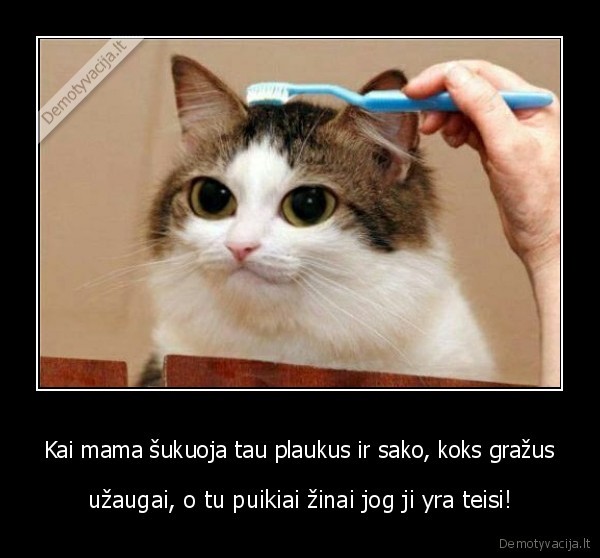 Kai mama šukuoja tau plaukus ir sako, koks gražus