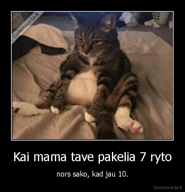 mama,kate,katinas,miegas