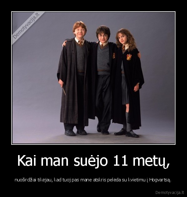 haris, poteris,hogvartsas,magija,gimtadienis