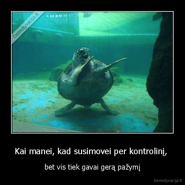 Kai manei, kad susimovei per kontrolinį, 