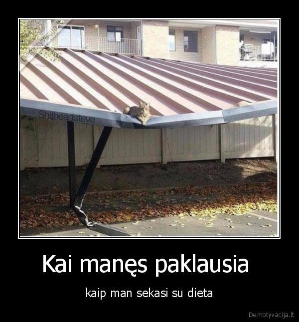 Kai manęs paklausia 