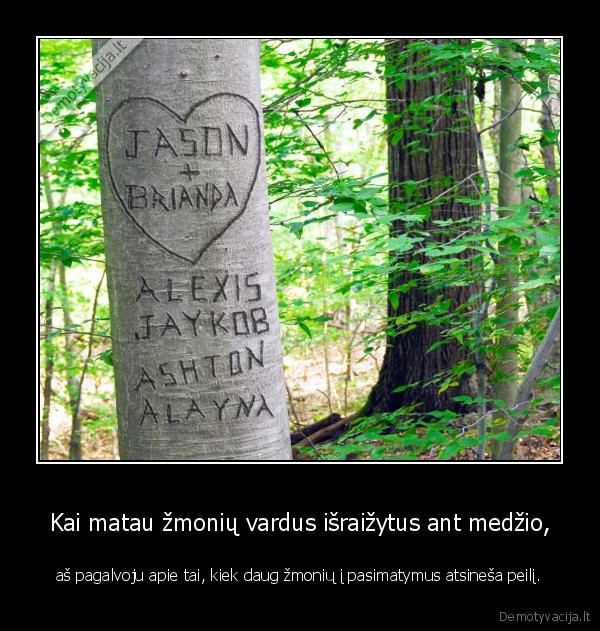 peilis,pasimatymas,medis,meile