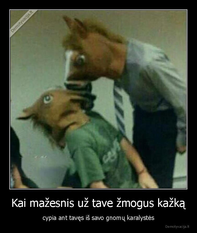 draugas,mazas,cypi,gnomas