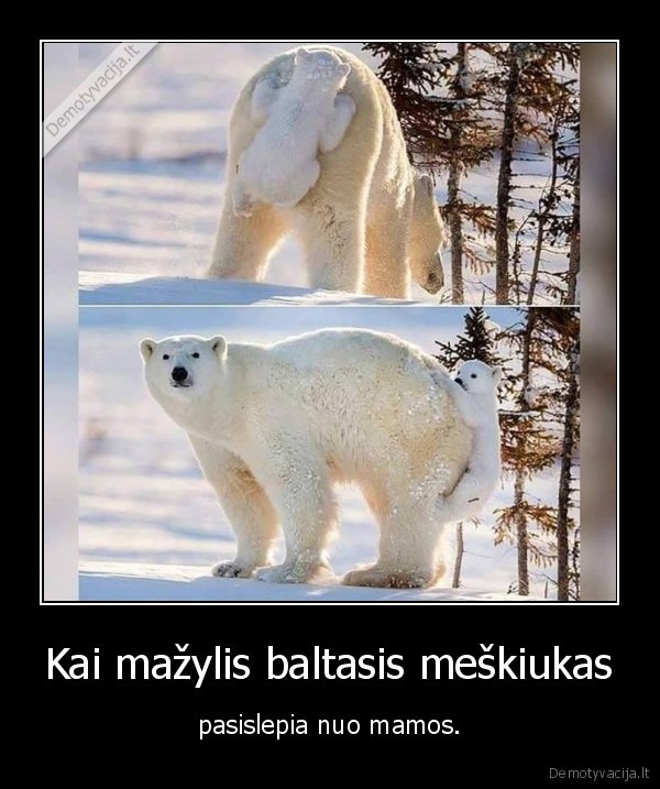 baltoji, meska,meskiukas,mazylis,slepynes