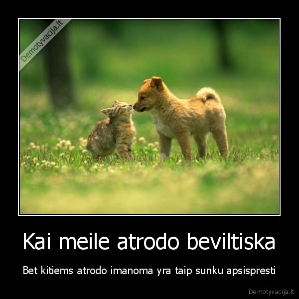 Kai meile atrodo beviltiska