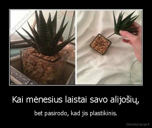 alijosius,gele,plastikinis