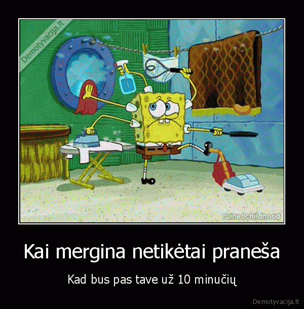 namu, ruosa,namu, tvarkymas,kempiniukas