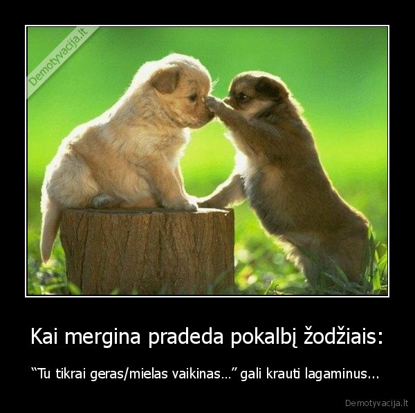 Kai mergina pradeda pokalbį žodžiais: