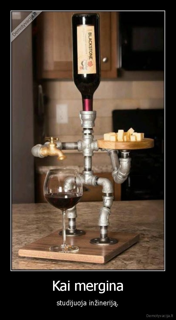inzinerija,mergina,vynas,suris