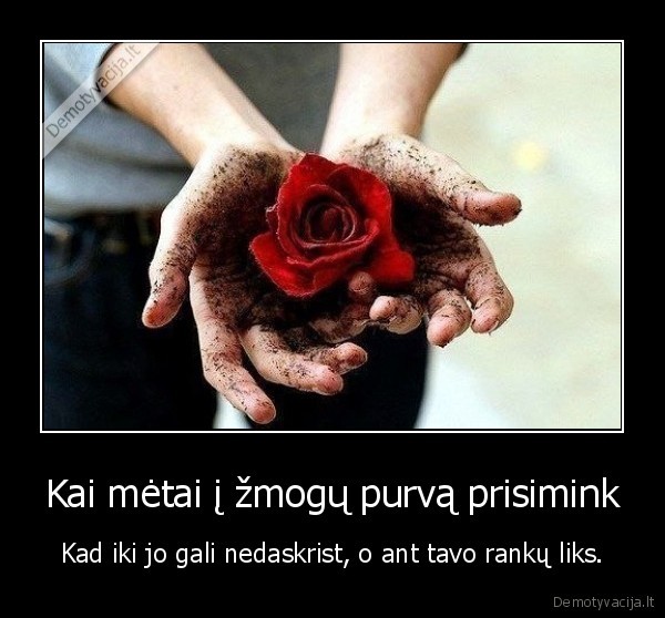 purvas,metytis,rankos