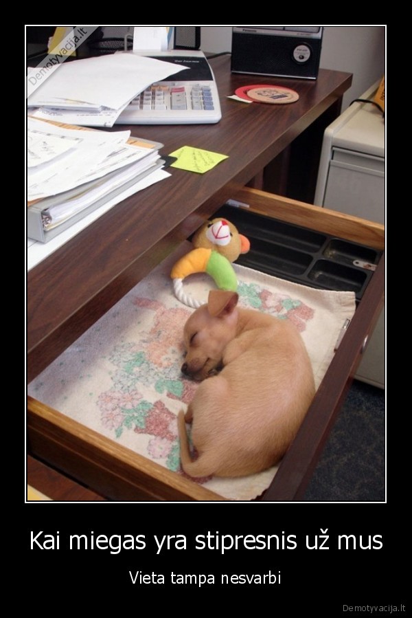 Kai miegas yra stipresnis už mus