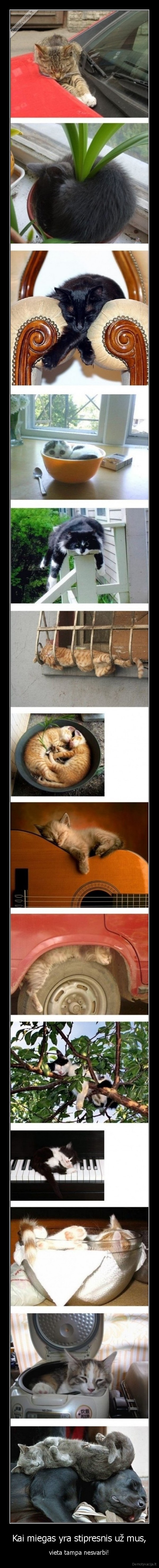 Kai miegas yra stipresnis už mus,