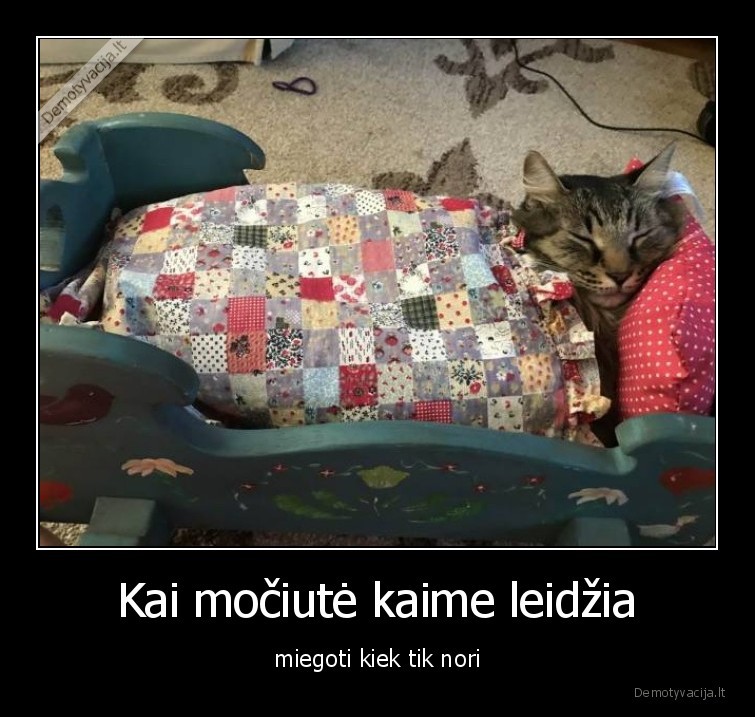 mociute,kaime,miegas,katinai,kates,augintiniai,kate