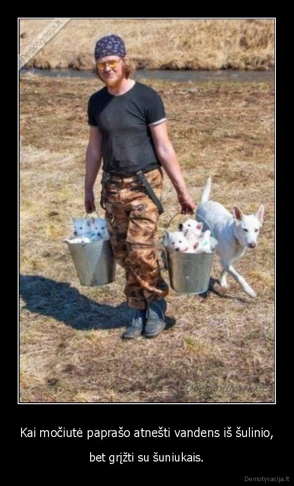 sulinys,mociute,suo,suniukai