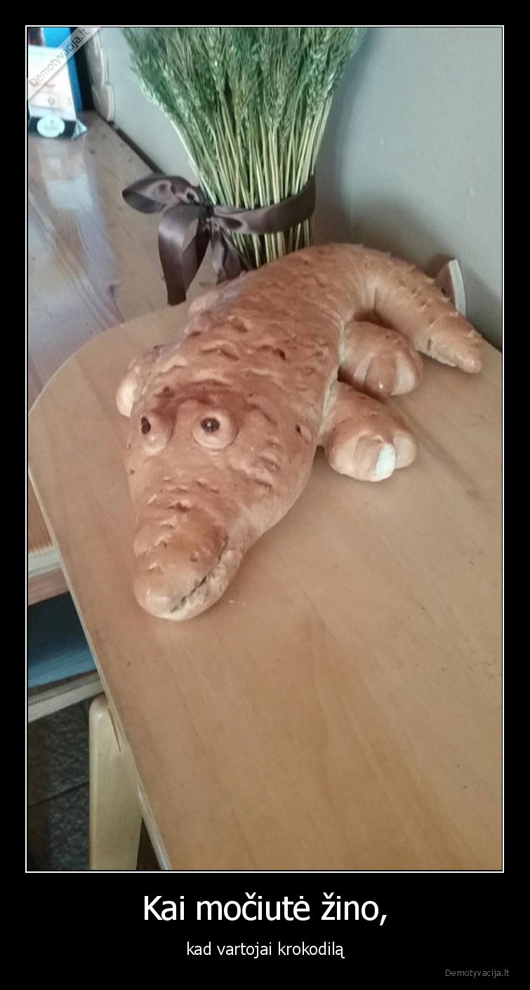krokodilas,duona,narkotikai,mociute